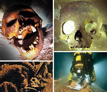 �����ź�