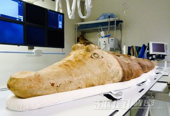 鳄鱼木乃伊面具