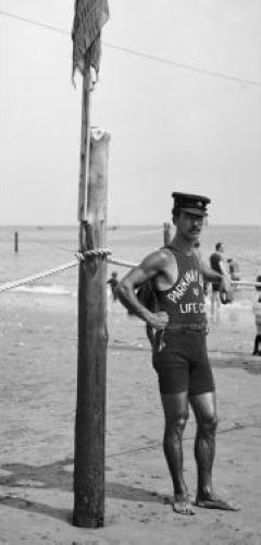 20����20����ľ���Ա