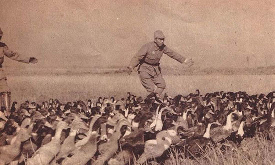 �����ֻ��վ���ʳ:ս������������