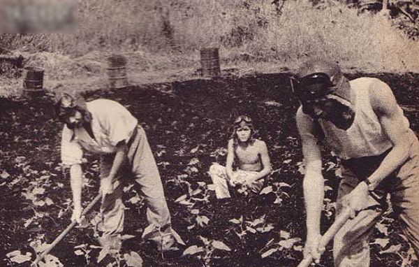 �����ֻ��վ���ʳ:ս������������