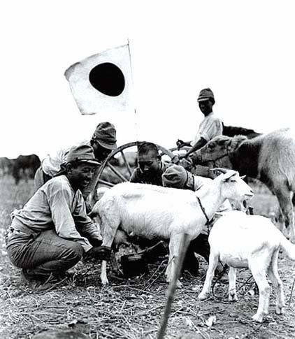 �����ֻ��վ���ʳ:ս������������