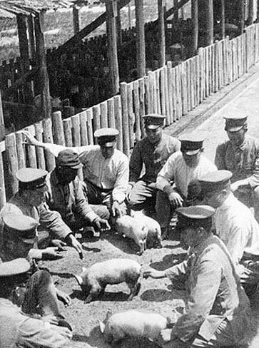 �����ֻ��վ���ʳ:ս������������