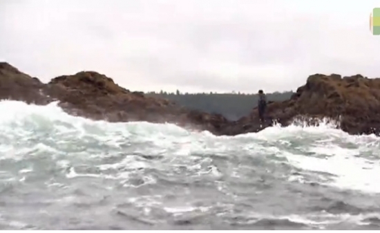 ���Ӻ��߷��ֹ������� �߽��󷢲���(1)