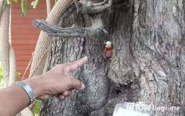 ��������һ�������С�����ǧ������