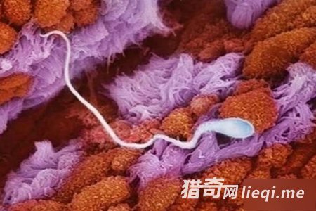 һ��ͼչʾ �����������ܾ�ȫ����(1)