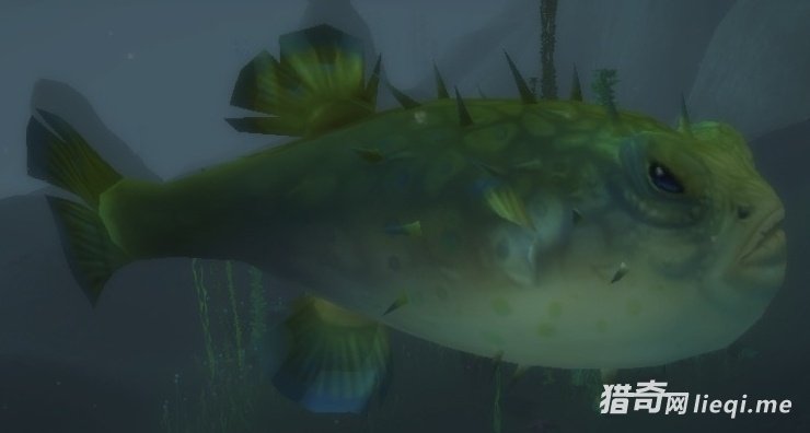 ��������Ķ���