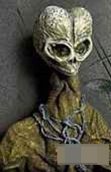 ������,�ź�