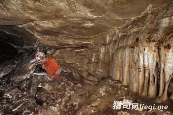 ��ͨ�ĵ��ʿ��� ȴ���������ż�