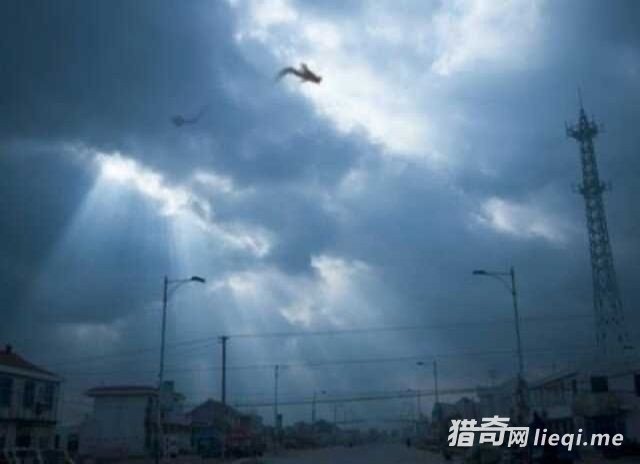 �������������ڣ�������������Ƭ