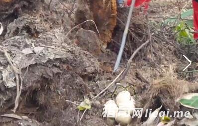 �����ڵ�һ��Ȼ���� �ŵ����̷�����