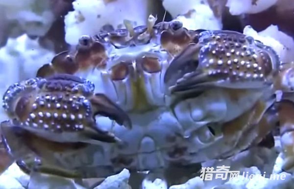 ��һ���з�������Ի��Ƕ��������ģ�ҪС�İ���(3)