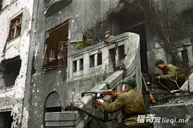 ��Ӱר������ս�е�������� ��ɫ��(1)