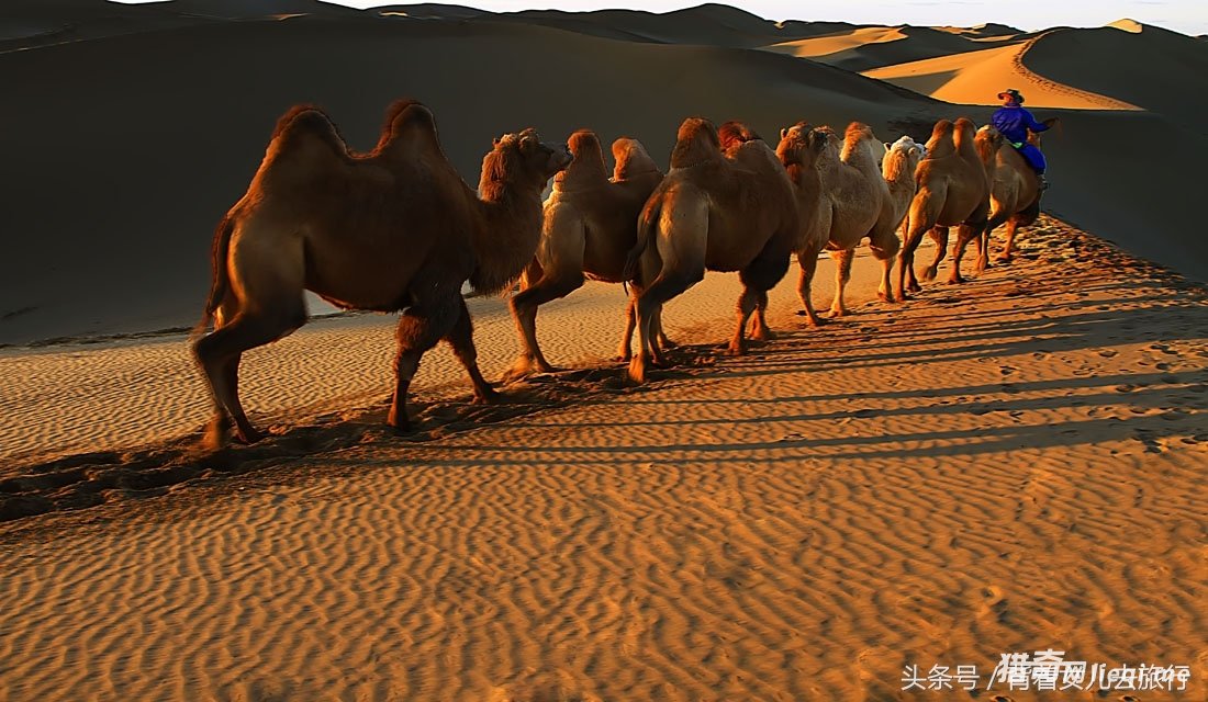 һ����Ʊ3500Ԫ���й����ľ��㣬����Ϊֹ�ι��οͲ���5��(1)