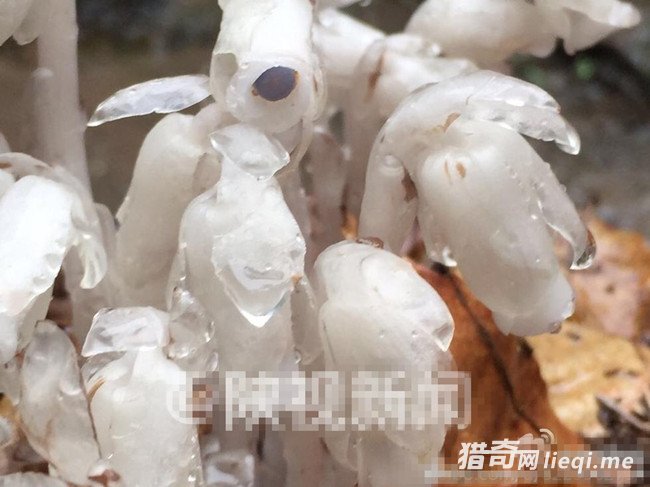 �����������֡�����֮����