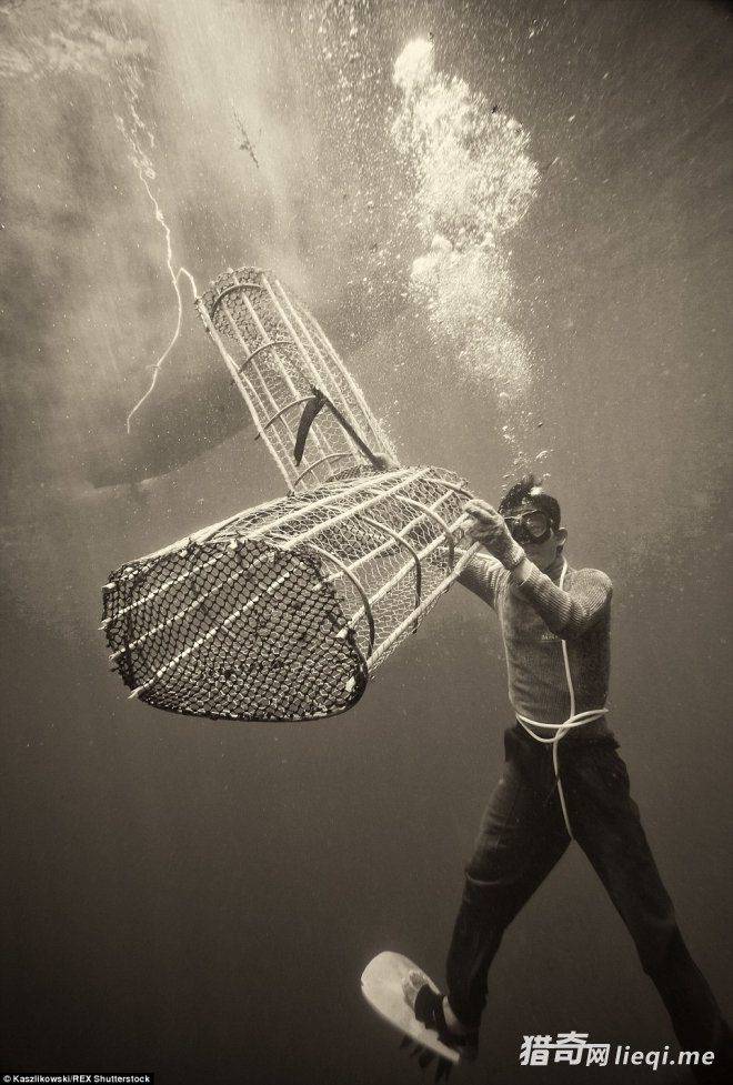 ���ǲ������κι��ң�����ܲ��ˣ������������ں���(1)