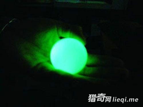 �����ſ�ҹ�������ҵ��Ŀţ����һ�ų�¶����