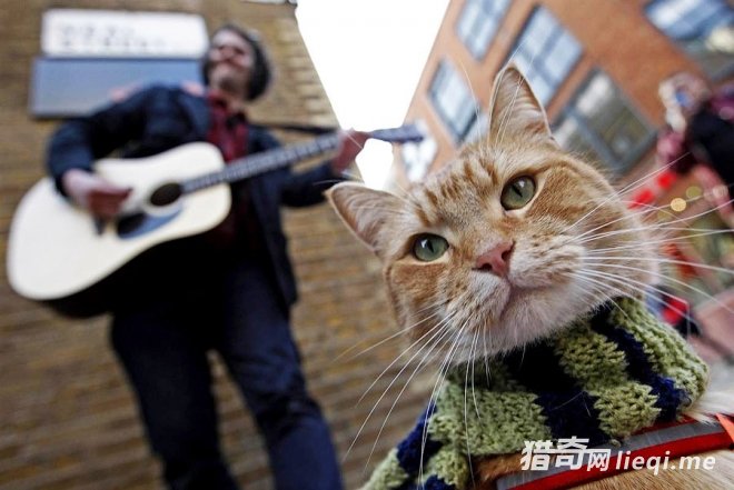 ���䶬�����˽�ͷ������èè�����մ���(1)