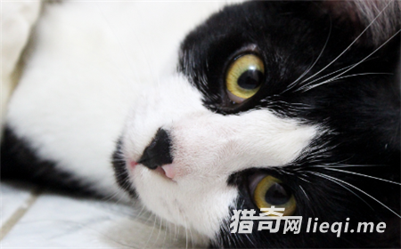 è��ͻȻϲ��ճ������ ȥҽԺ������һ��