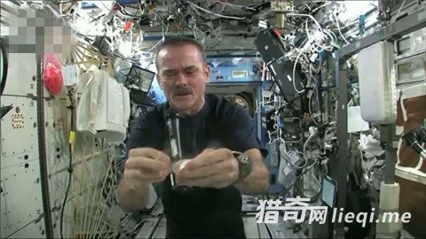 �Ա̫����Ťʪë��������������벻��!