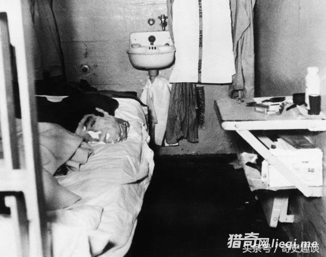 һ������Ƭ�����ܶ��������Ķ�ħ���������������ʲô���ӵ�(3)