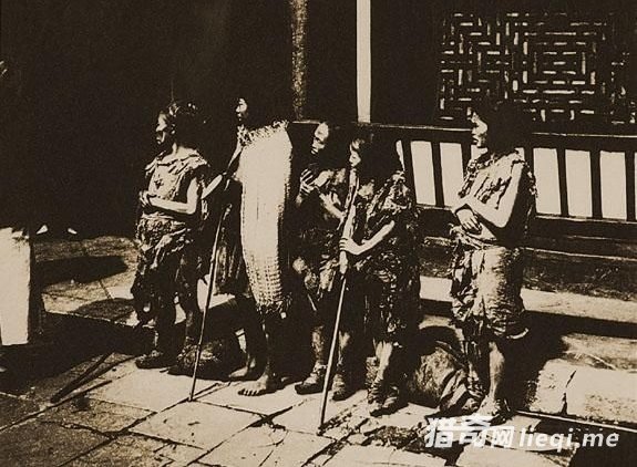 ����ǰ����Ƭ����ĩ�����ͷ��ؤ�����ﶼ����һ���򹷹�(2)