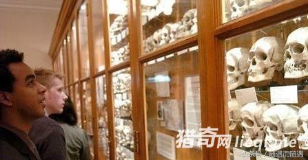 ������������������ɭ�ֲ��ĵط���������δ���˸�ð��ǰȥ(1)