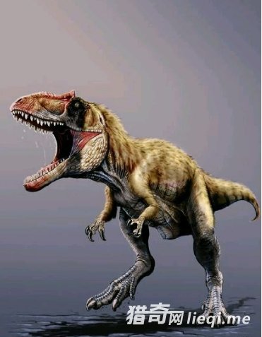 ʮ����ʳ�������а�  ��һ������ʵ��ġ���˹����(1)