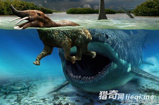 �������Ѿ���ʧ�����Զ�Ź��� Զ�ž�Գ���ǽ��ǰ��(1)