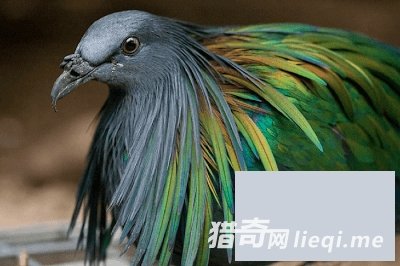 ����ֵ�����������Ҳ����ô�������������ˢ�����ҵ���֪(1)