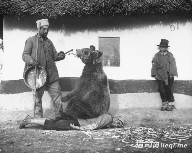 һЩ�ټ�������Ƭ������ǹ������������������Ů(4)