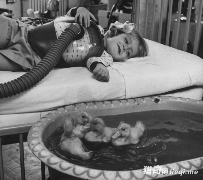 һЩ�ټ�������Ƭ������ǹ������������������Ů(3)