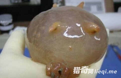 ��ֳ��û�����Ķ�����һ�ֿ����(1)