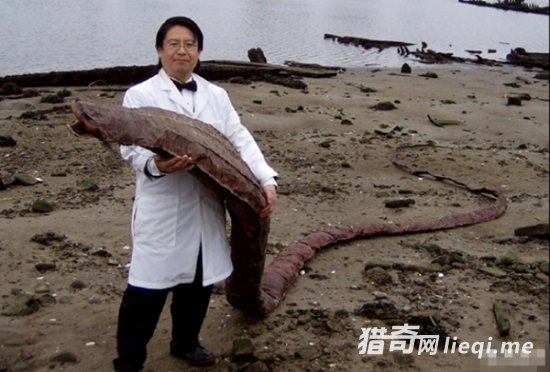 ���Ӻ������־�����״�� ��Ŀ���Բ²�(1)