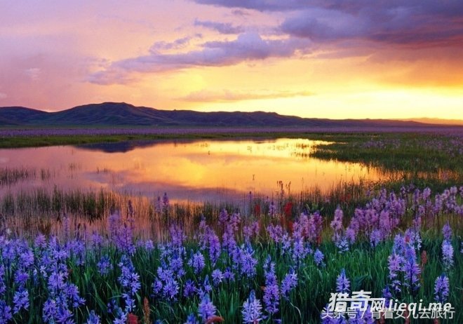 �Ŵ��ﷸ�����ŵأ�����Ϊ�����⽭�ϡ�������Ϊ�������Ĺ��硱(1)