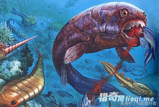 ����ư������ʮ��ʷǰ������� ��������ɱ�걬(1)