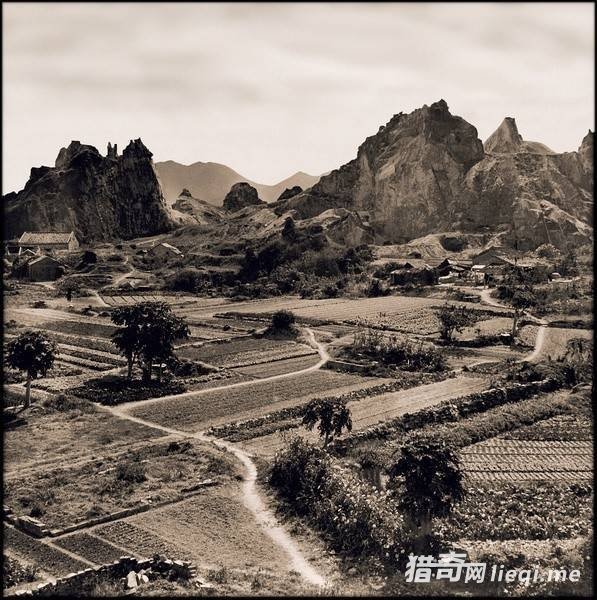 ����Ƭ�е��й����֮�������һ�����˲׺�ɣ��ĸо�(4)