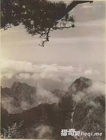 ����Ƭ�е��й����֮�������һ�����˲׺�ɣ��ĸо�(2)