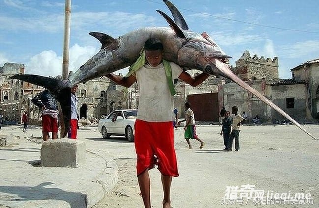 �غ������޴�硯���ճ�ʳ�ף�����ֻ�Դ�ģ����㱻���ؼҿ�С��(1)