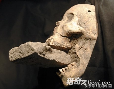 ����ʮ�󿼹ŷ��֣�������ʯ��ʷǰ���ݡ���Ѫ��Ůʬ�����鴬����(3)