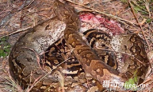 ����������ԣ�����������������ս����ϲ������ִ�żᶨ�ľ���(2)