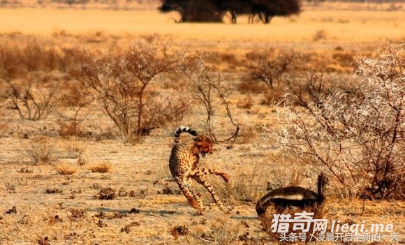 ����������ԣ�����������������ս����ϲ������ִ�żᶨ�ľ���(3)