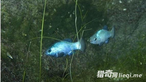 ɳĮ�о��������������������ѧ�ҷ���������ɳĮ��ˮ������(2)