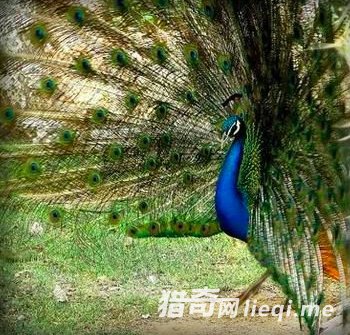 ʮ���������ֽ��䷽ʽ����Բ���ڽ���ʱ����(2)