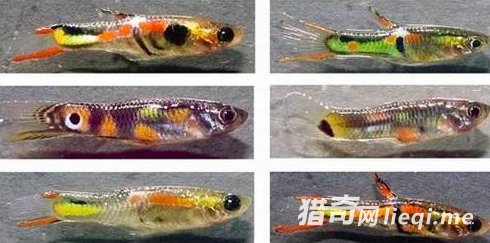 ʮ���������ֽ��䷽ʽ����Բ���ڽ���ʱ����(3)