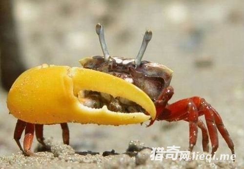 ʮ���������ֽ��䷽ʽ����Բ���ڽ���ʱ����(3)