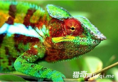 ʮ���������ֽ��䷽ʽ����Բ���ڽ���ʱ����(1)