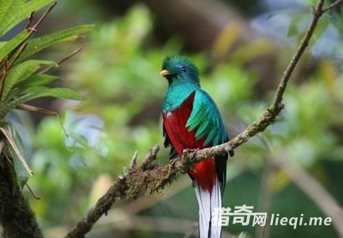 ʮ���������ֽ��䷽ʽ����Բ���ڽ���ʱ����(3)