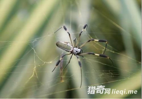 ʮ���������ֽ��䷽ʽ����Բ���ڽ���ʱ����(4)