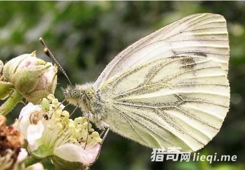 ʮ���������ֽ��䷽ʽ����Բ���ڽ���ʱ����(2)